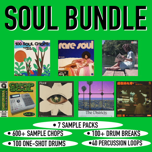 THE SOUL BUNDLE